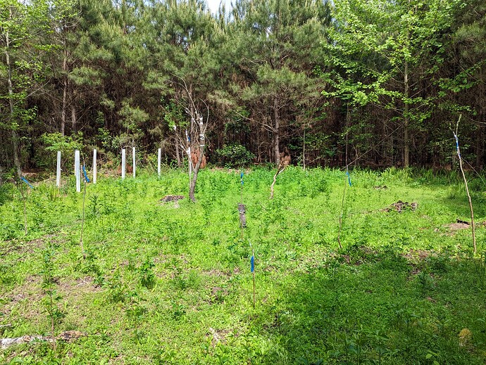 PXL_20230416_190457570