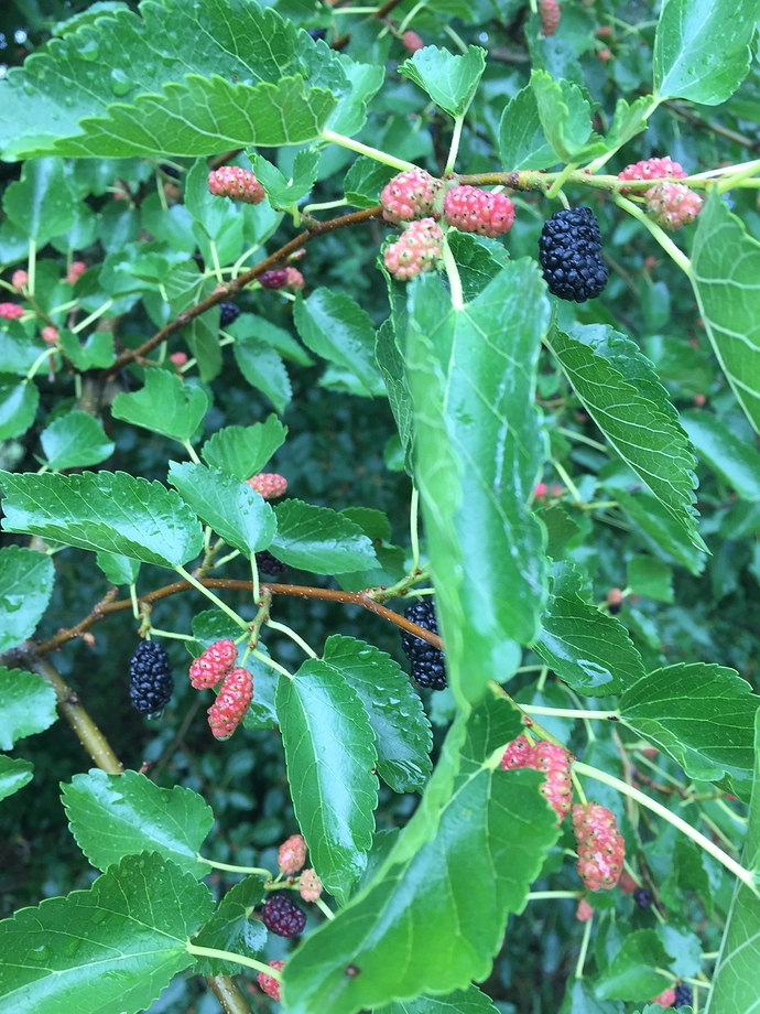 7ABC50E5-C28D-454C-AAAE-665EADC7FBDA