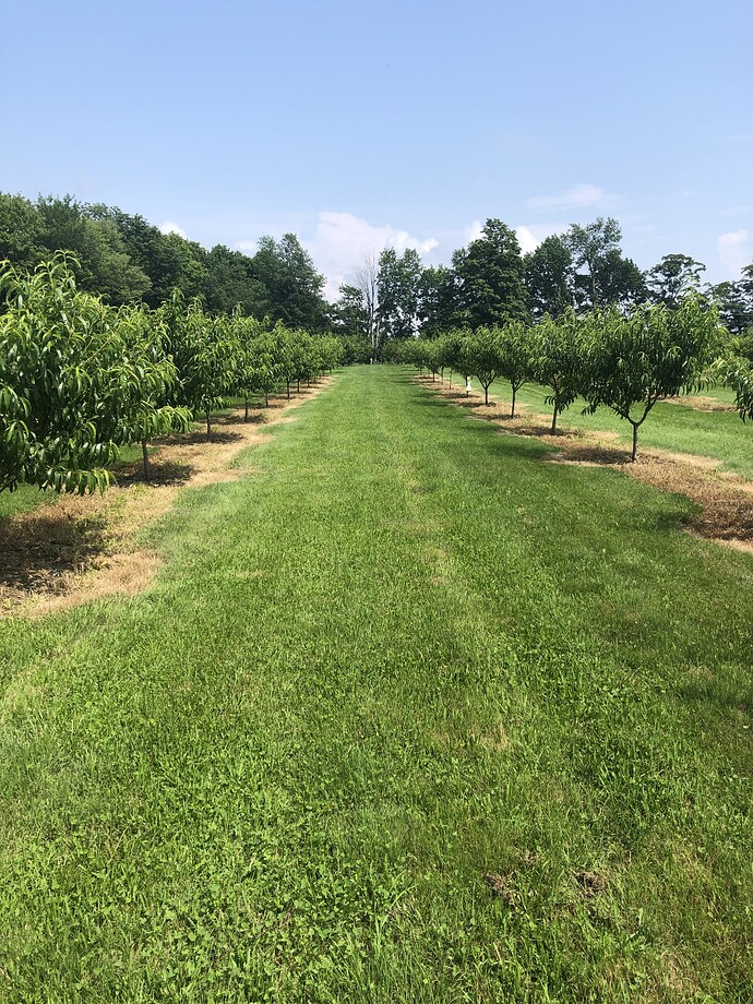 7AEBC831-7756-4C6D-860B-E5833BF6A00C