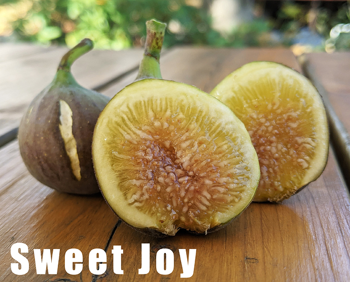 Sweet%20Joy2