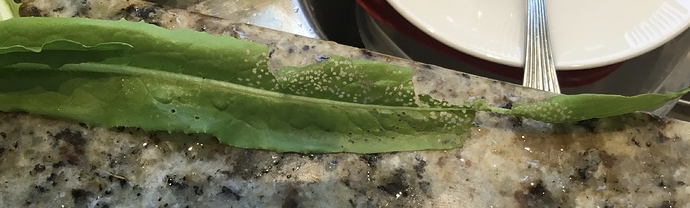 94F14136-4A8A-492A-8BD4-4C785AC652A4