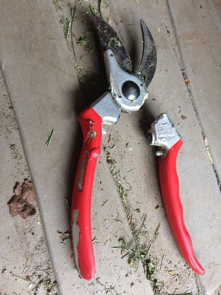 Felco pruner vs lawn mower General Fruit Growing Growing Fruit