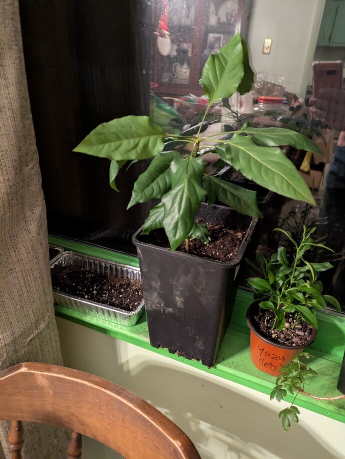 PXL_20250224_011012037