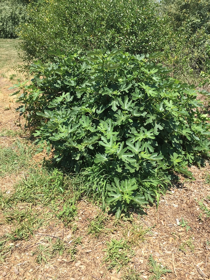 7B018578-0775-4219-82E7-87A53D9A24B1