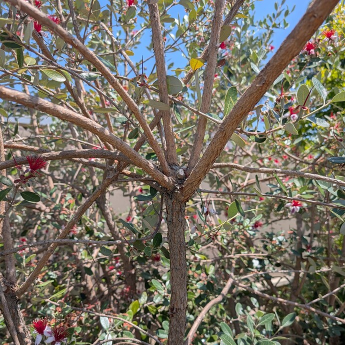 PXL_20250525_184249161