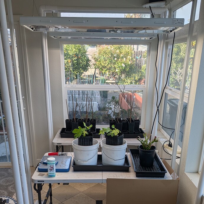 PXL_20250203_230323566