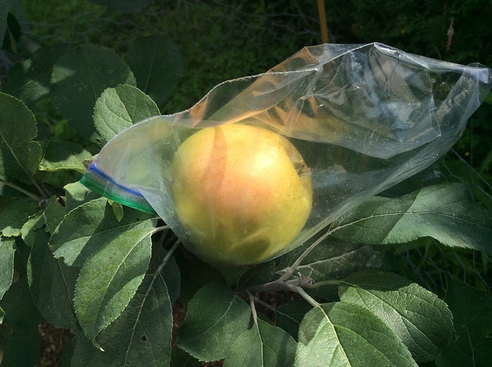 C6EBD9BA-2080-4130-9FD6-9900BC8DECC4