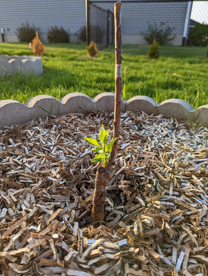 PXL_20220512_000752533