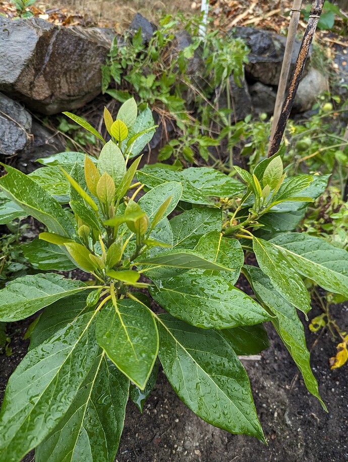 PXL_20230924_234515538