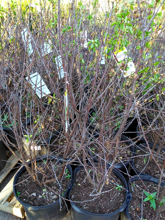 IMG_20190508_191917146_HDR