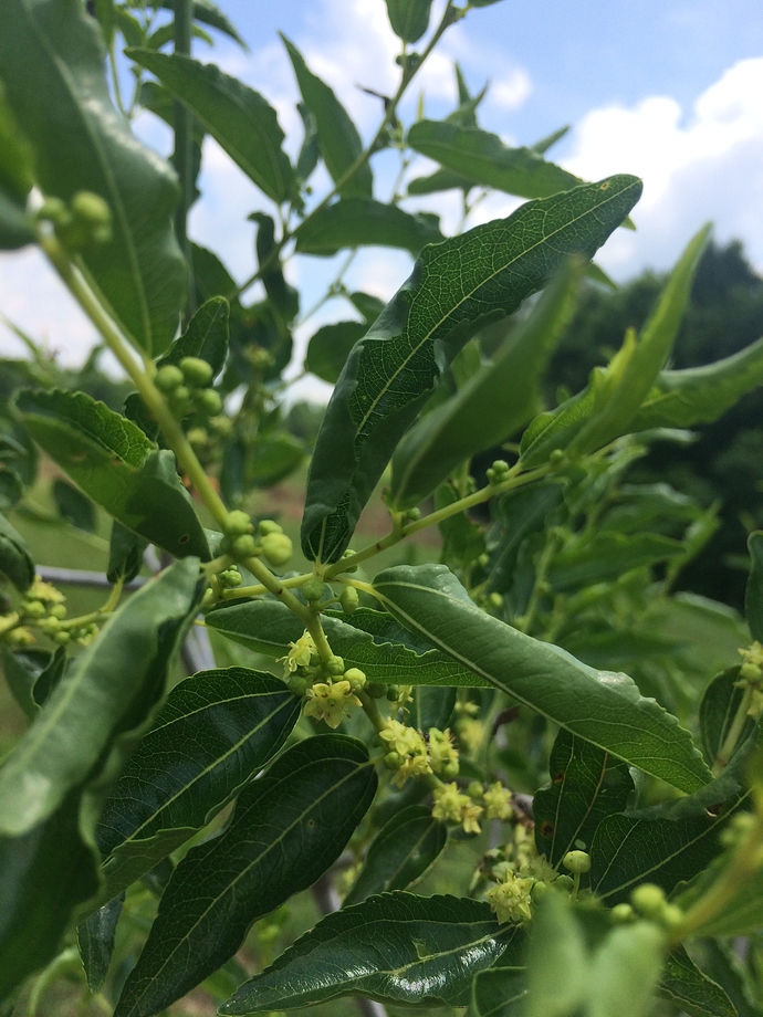 56FD9C19-287D-4CCA-82FB-52693E75C5A1