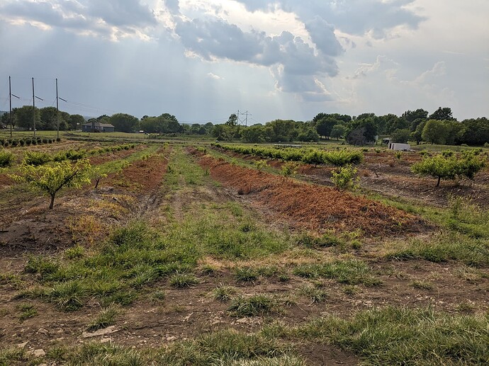 PXL_20230530_230551548