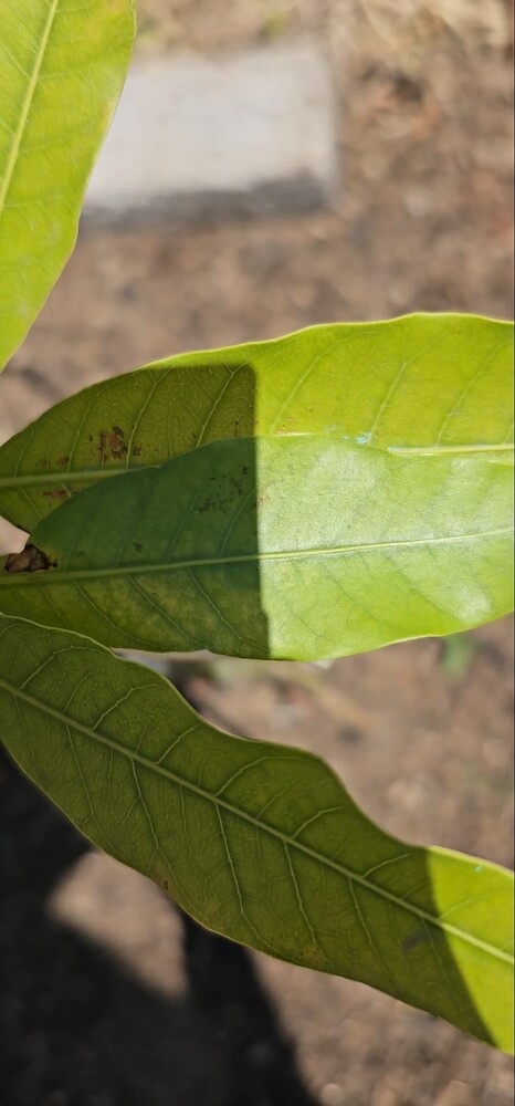 Screenshot_20241018_212707_Gallery