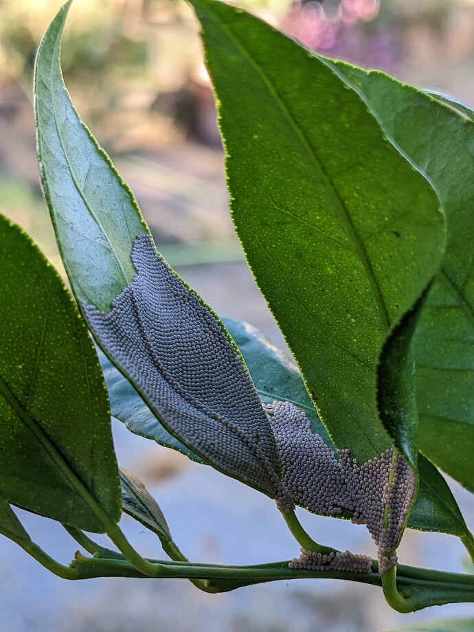 PXL_20220906_000231005