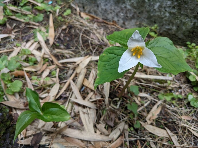 PXL_20220325_190119658.NIGHT