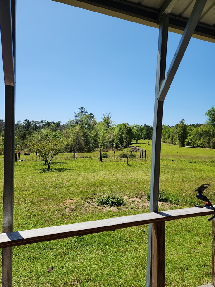 16795906790084747893306624058861