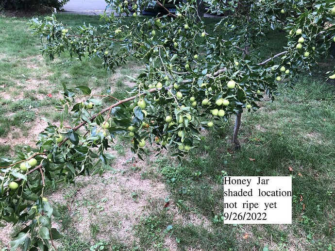 HoneyJar_Shaded_r_09-26-2022