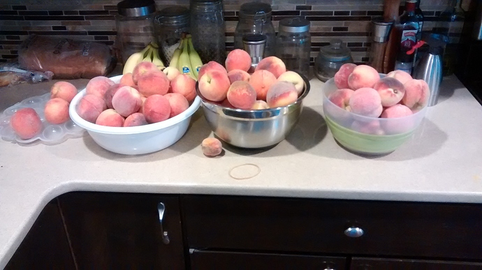 IMG_20180729_190224219