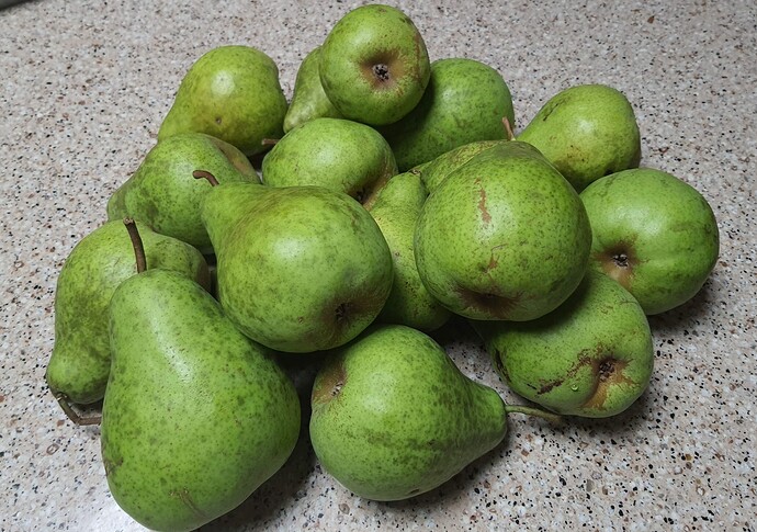 Pears 08-20-21 Moonglow