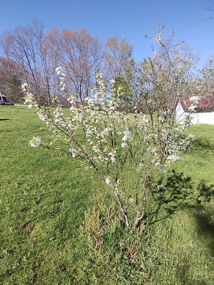 IMG_20240413_164739429