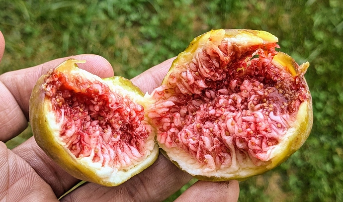 LDA%2009-19-2019%20C