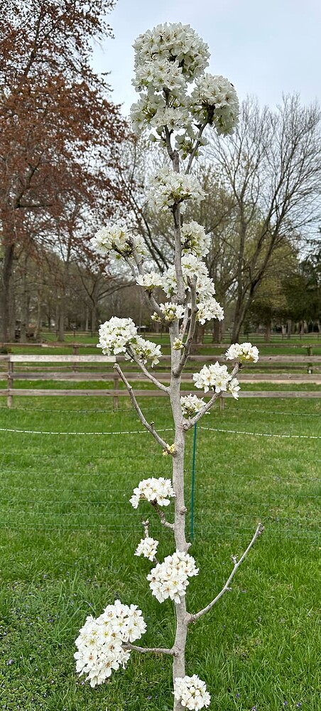 Screen Shot 2025-04-21 at 9.31.14 PM