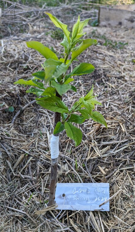 PXL_20240508_002032102~2