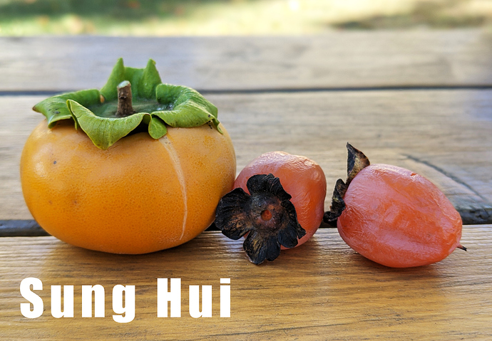 Sung%20Hui
