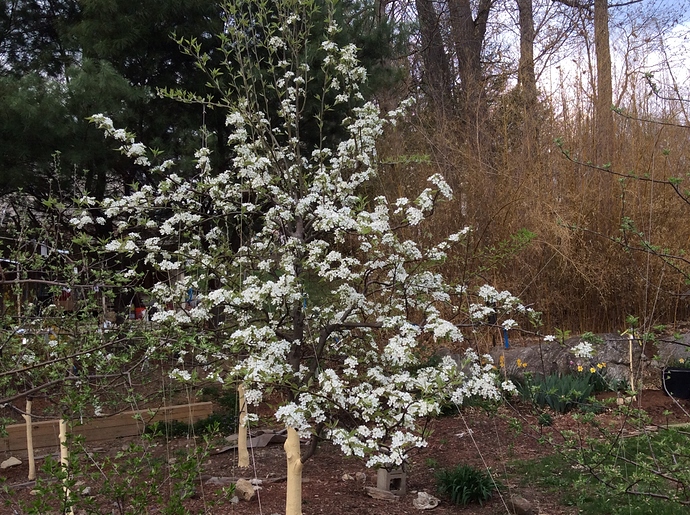 AE187071-9F31-4498-AEF9-197FA451A877