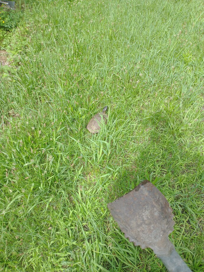 IMG_20230703_100410238