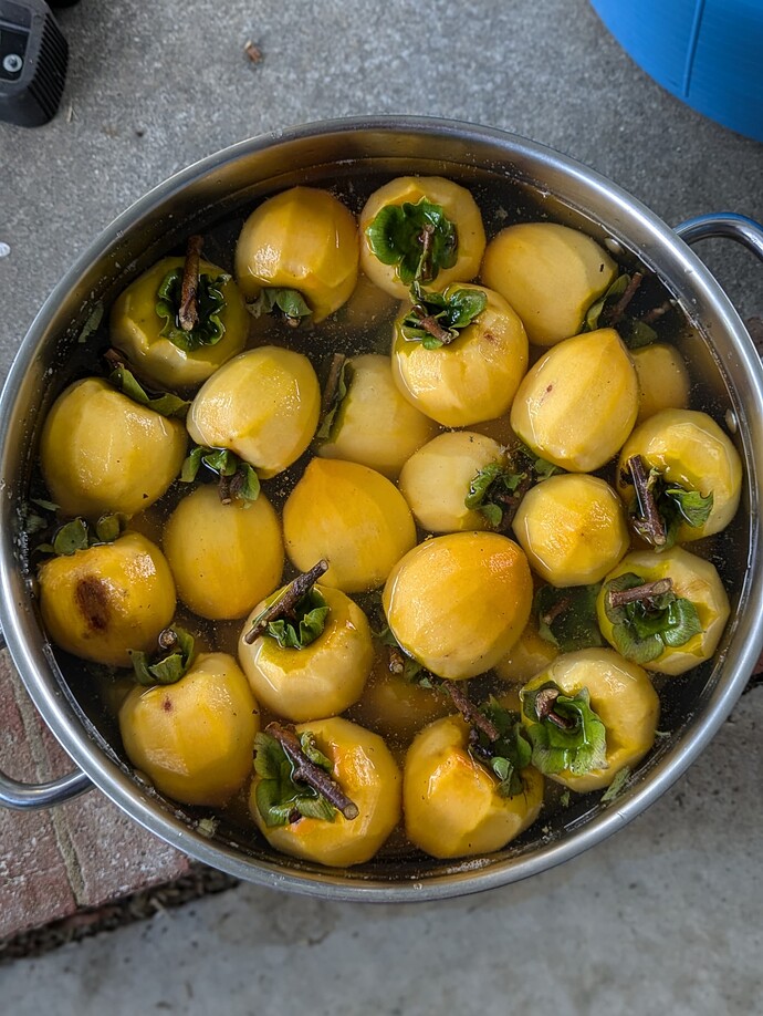 PXL_20241006_215339187.PORTRAIT