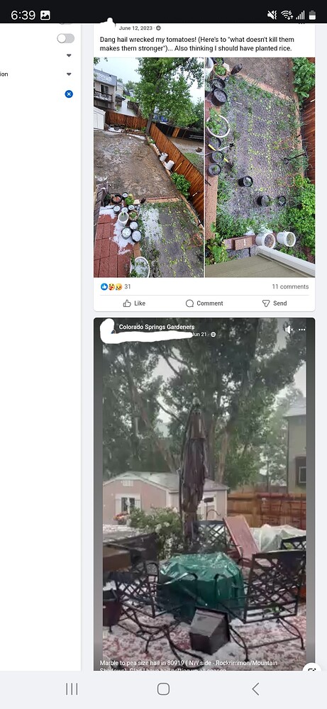 Screenshot_20241027_183911_Chrome