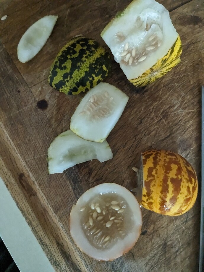 PXL_20240926_210908808