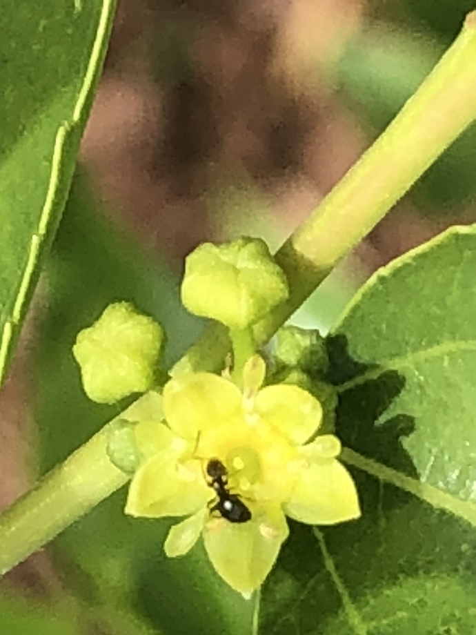 45281CC3-E93A-4EBA-895D-17542D02F8DC