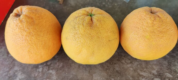 IMG_20250519_1054191