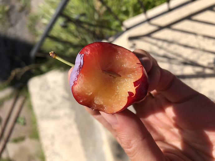 24%20ao%C3%BBt%202019%20BlackIce