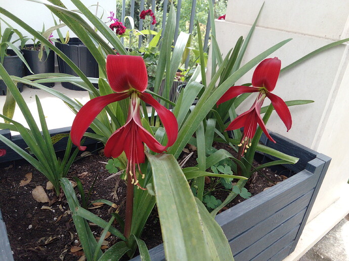 IMG_20220620_152428_1