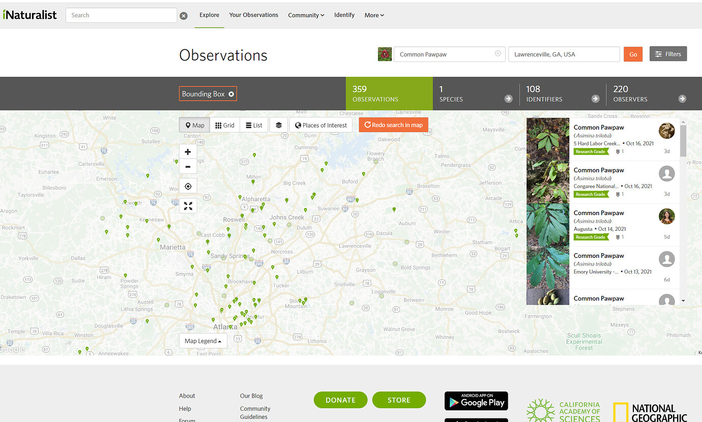 Best pawpaw variety? General Fruit Growing Growing Fruit