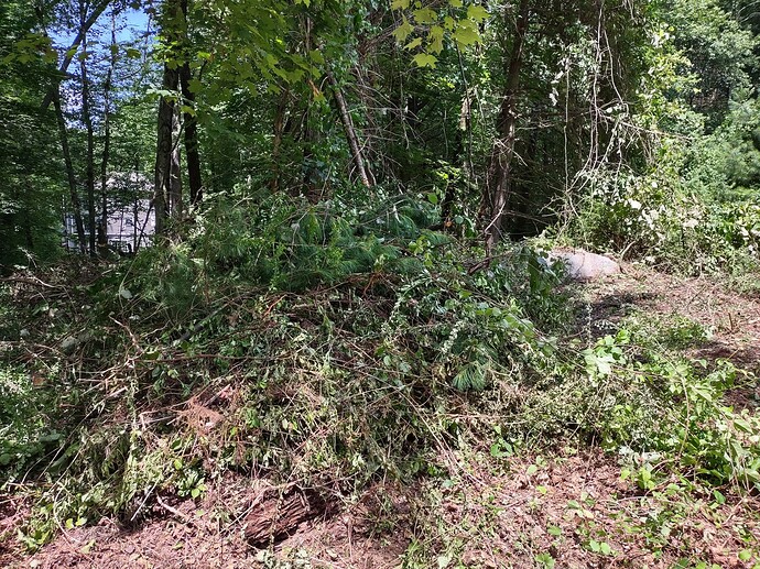 IMG_20230723_120636160_HDR