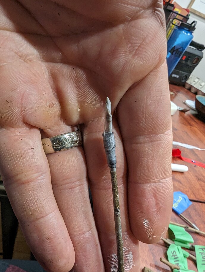 PXL_20240505_043844837