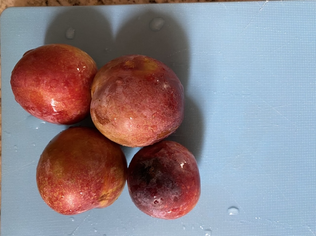 Satsuma plum General Fruit Growing Growing Fruit
