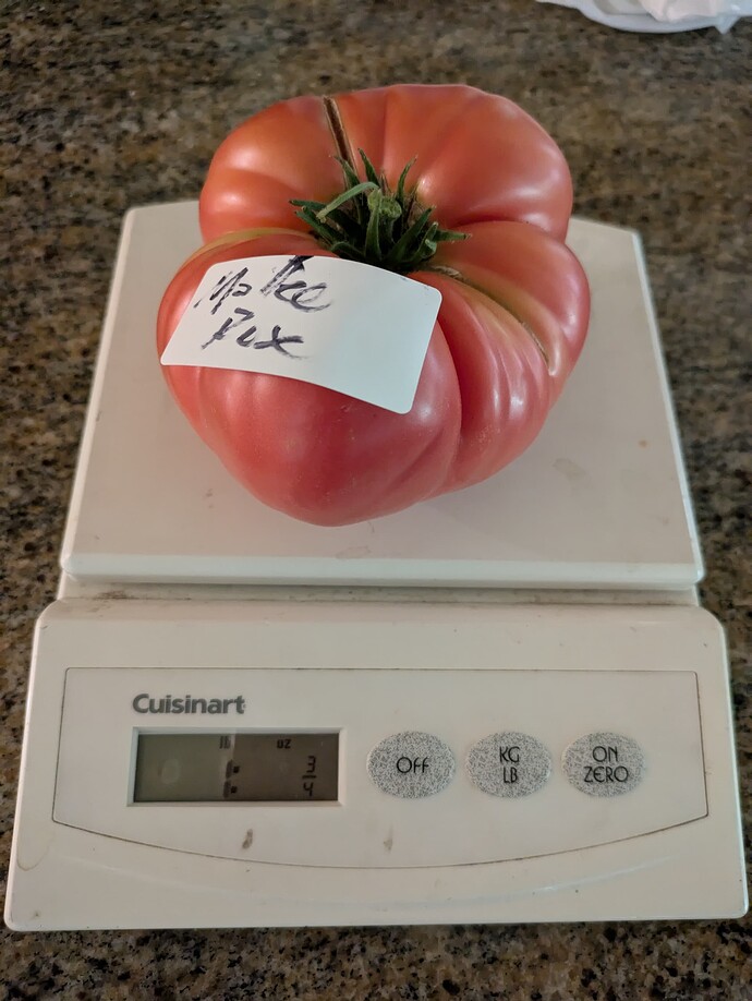 PXL_20240715_161436504