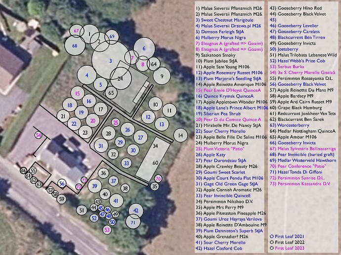 West Cork Orchard 31032023