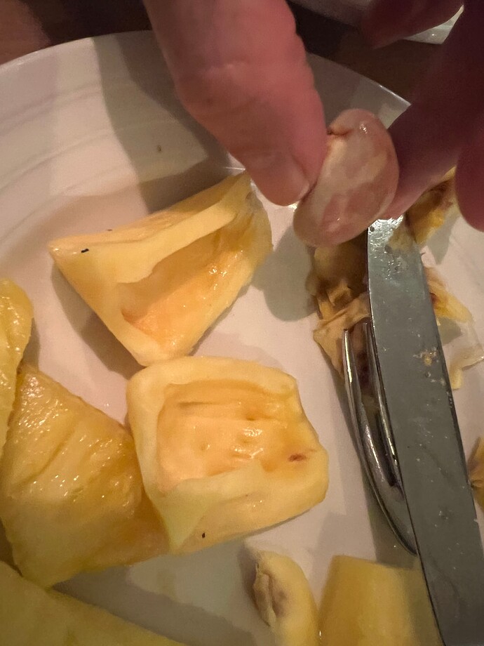 Jackfruit_12-03-2024
