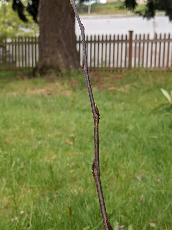 PXL_20210428_003627666