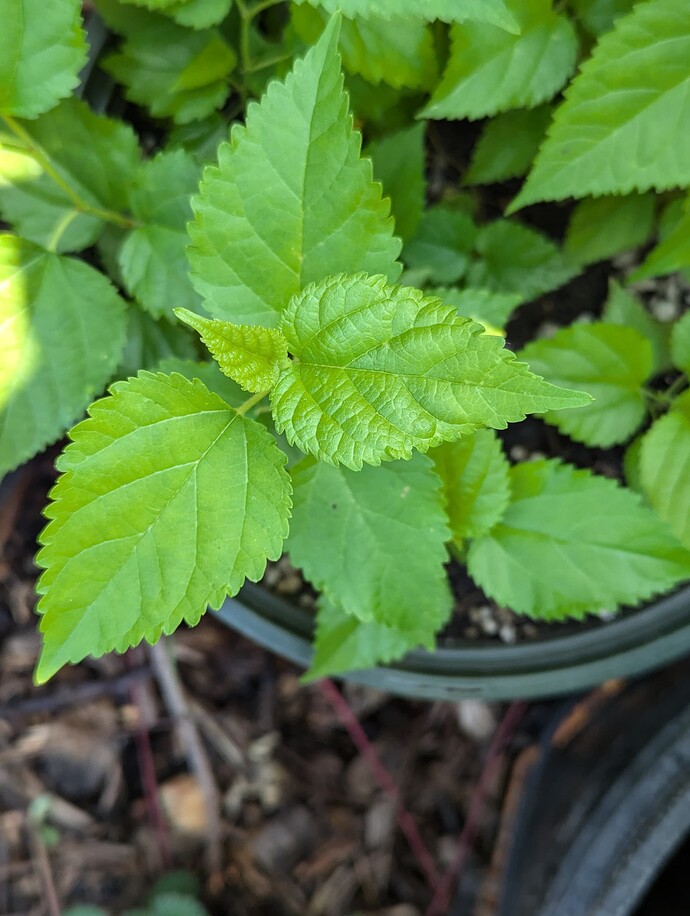 PXL_20240906_193040182