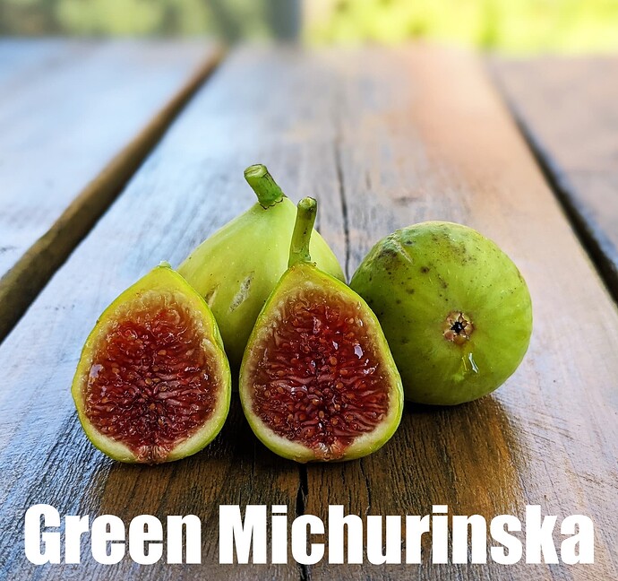 Green Michurinska_2024c