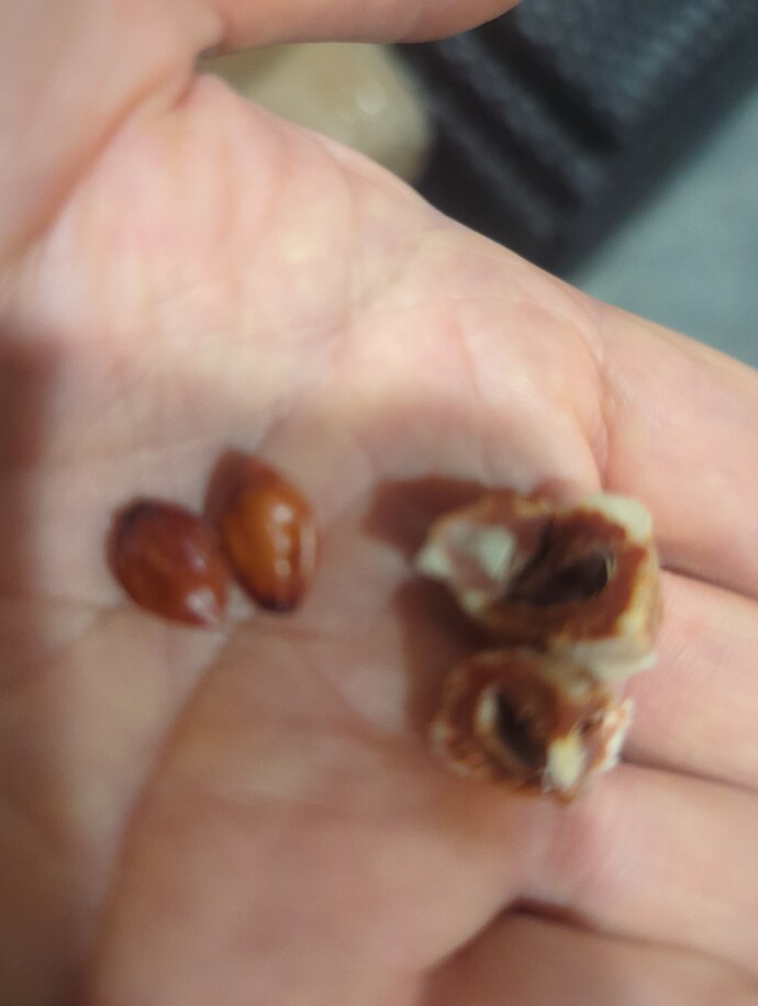 17280593646273334563222174132318