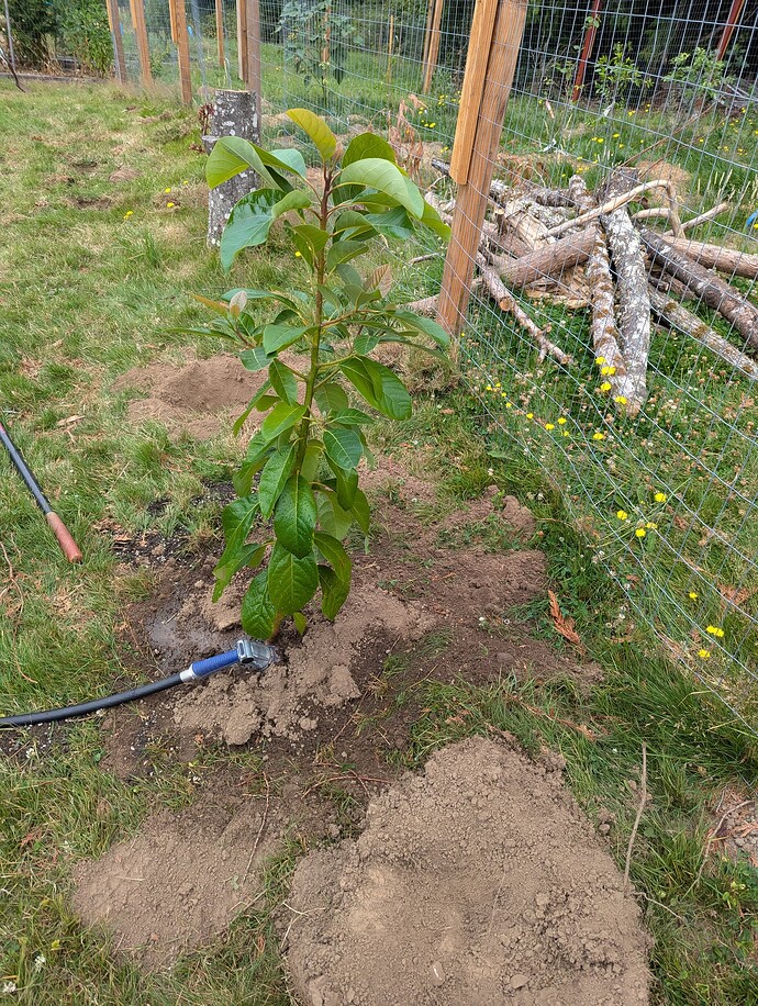 PXL_20240728_195750052