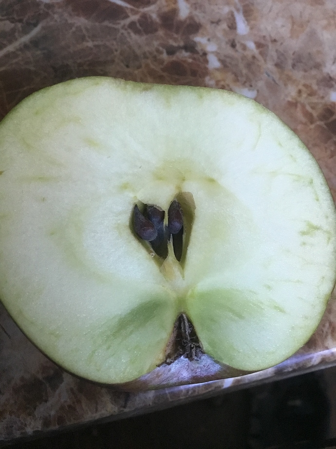 3B4FE19D-FF3A-4A19-8960-6A13A74F7C0F